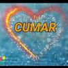 cumar.maxamed796