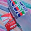 sendy.sarutin
