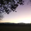 kubskii_135