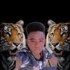 user2395591824498
