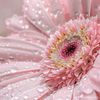 monday05053