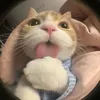 _kemthichunbox_