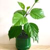 kina.com7