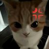 aditia.pratamaa75