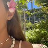adina_ada1