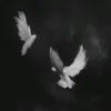 auio_7