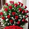user2229805302518