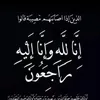 user91425418582473