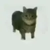 mukadesalam