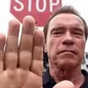 arnold_zwarzenegger