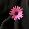 muslimummah_24