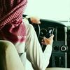 pilot35336