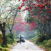 nature_environment51
