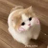 hoanggiabaoo5