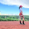 elizaeth.sousa