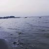 mertuanyajekk