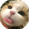 silvi.zzzul