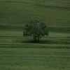 ddunknow1