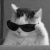 katrina_paw0