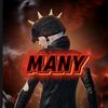 s2gmany31