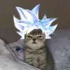 gokx77