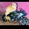 fabri_biker