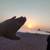 user82638818603608