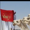 نادر القريـشي503