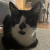fortnite.emote.ki8