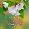 osamahalabjay18
