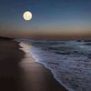 noor.ahmed9493