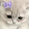 __k8s1