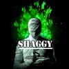 shagi_quotes