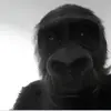 aidenqhhnn5