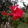 priya.khatun843