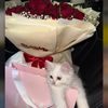 marwa64397