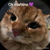 anriana_90