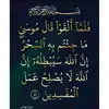 dina.bejaia88