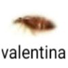 aiaiaiamiulirolbuterflai