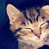 ana_maria20980