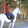 abdurrahaman.omar
