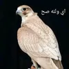 user612920247308