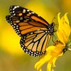 lagunas_de.mariposas00