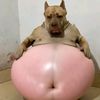 lionnel__vr