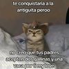 eduardo.ortiz0462