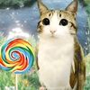 fan_99noches_y_cats