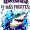 wilmer.matos2
