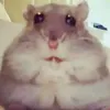 uncironz