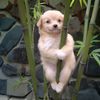 max_122581