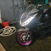 maull20__